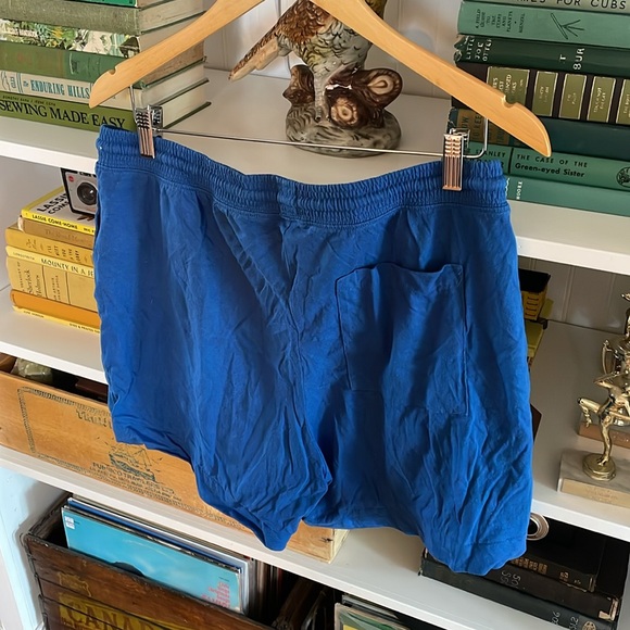 Klein blue shorts - Picture 3 of 3